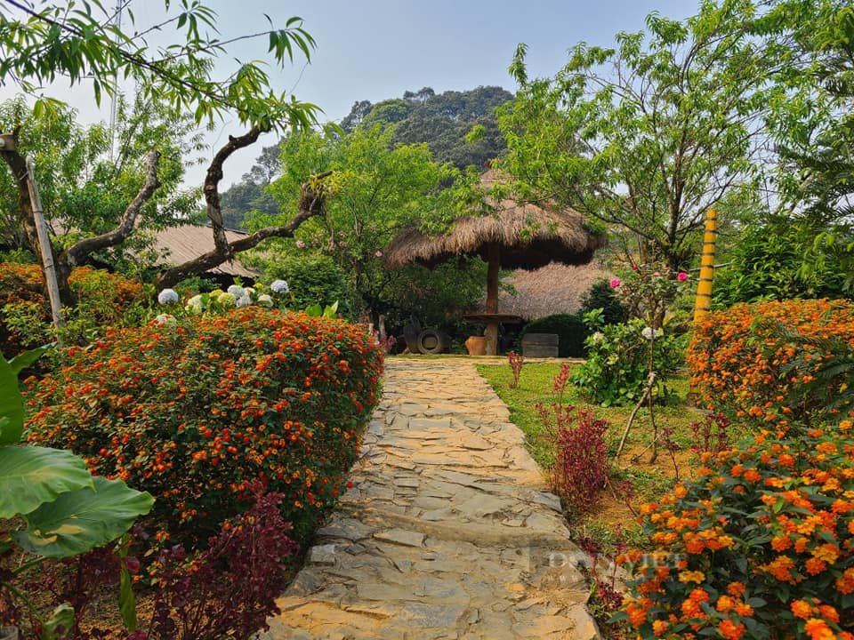 Khung cảnh bình minh trên những đồi chè xanh mướt xung quanh homestay của A Páo, nơi vợ chồng A Páo tạo nên điểm đến