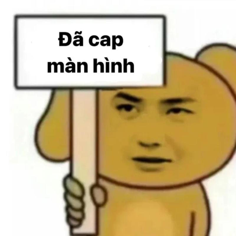 meme avatar chó cầm bảng đã cap
