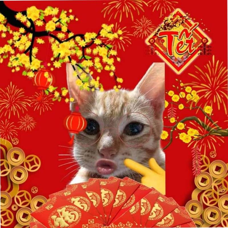 meme avatar kiểu hài bựa khó đỡ