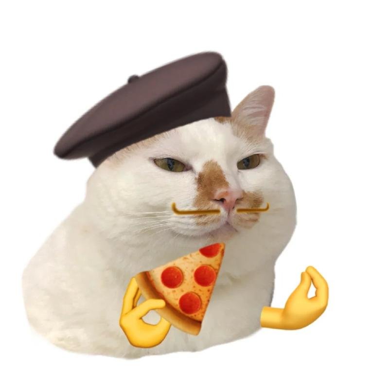 meme avatar mèo ngầu ăn pizza