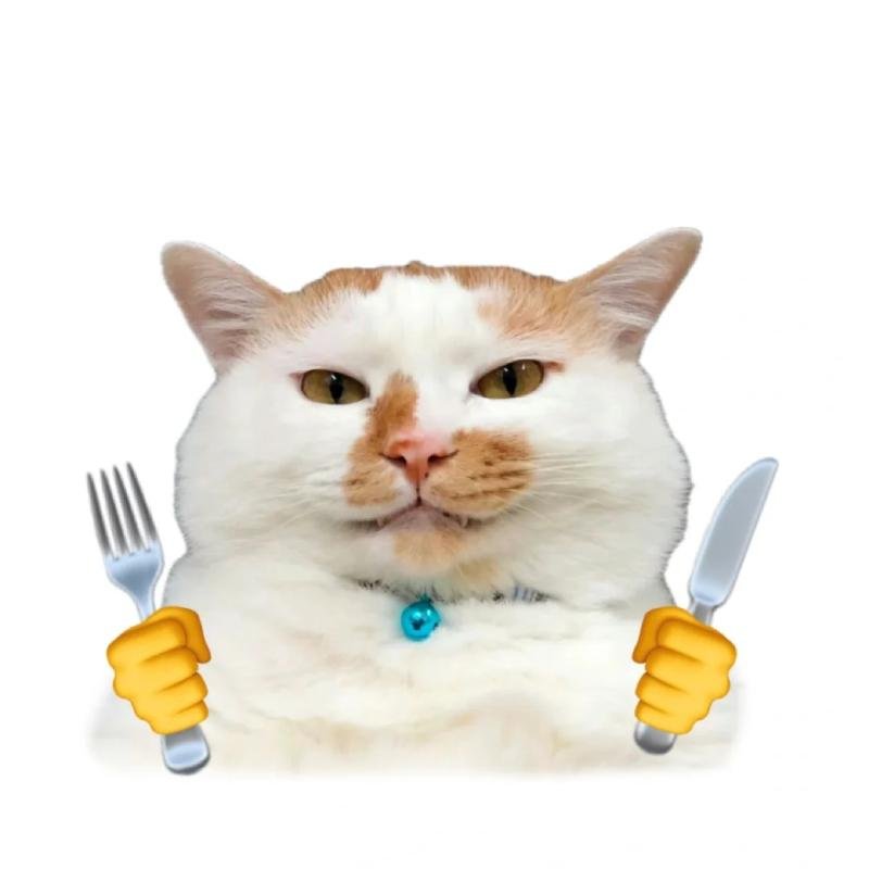 meme avatar mèo vô tri cầm dao nĩa