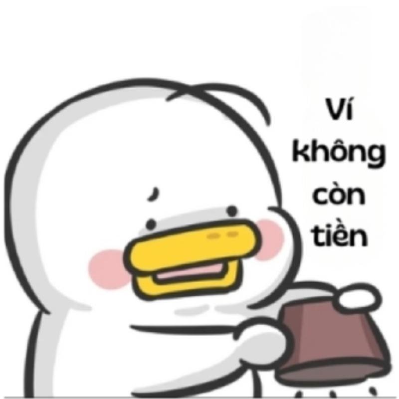 meme avatar nhìn đơ mà buồn cười
