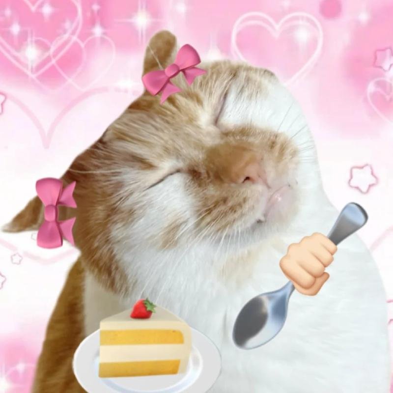 meme avatar nhìn vô tri hài hước