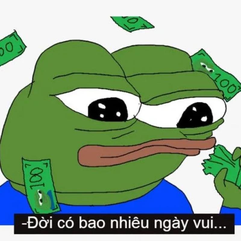 meme avatar pepe buồn giữa tiền bay