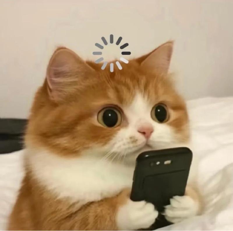 meme avatar phong cách hài cute