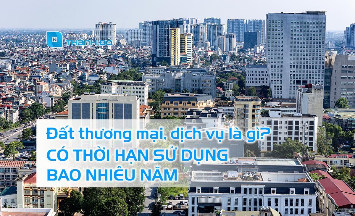 Mục đích sử dụng đất thương mại dịch vụ