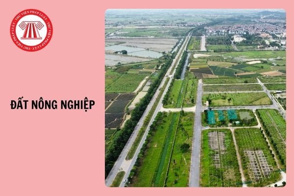 Người dân cần tuân thủ quy định xây nhà trên đất nông nghiệp để tránh vi phạm pháp luật