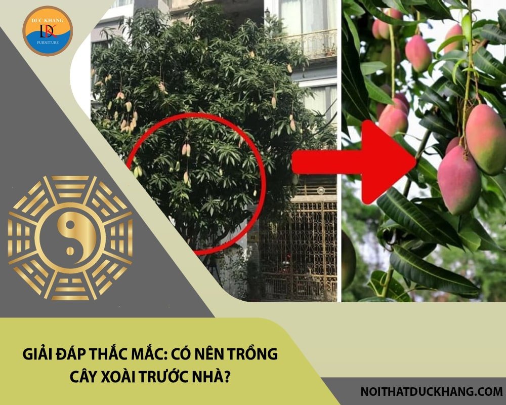 Người đàn ông đang tưới nước chăm sóc cây xoài non trong vườn, thể hiện sự quan tâm đến việc trồng cây xoài trước nhà.