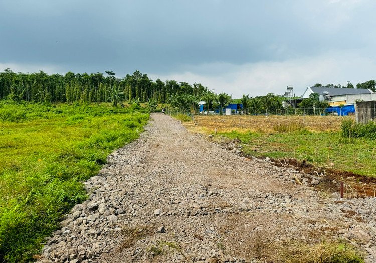 Người dân phấn khởi với quy định mới cho phép xây nhà tạm trên đất nông nghiệp tại các tỉnh phía Nam