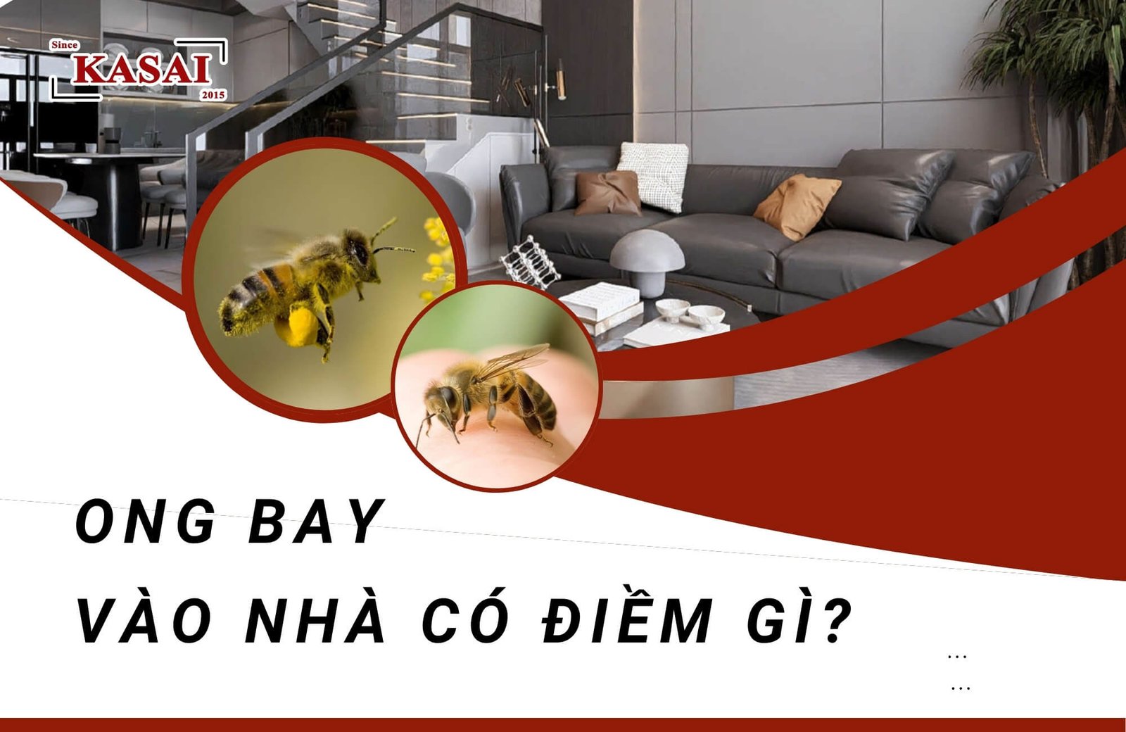 Người phụ nữ nhìn một con ong mật đang bay vào nhà qua khung cửa sổ mở