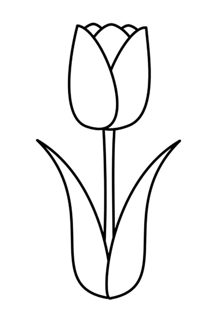 tô màu bông tulip rất xinh