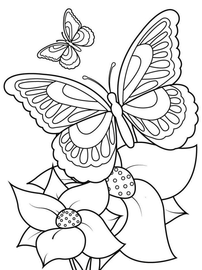 tô màu bướm phát triển sáng tạo