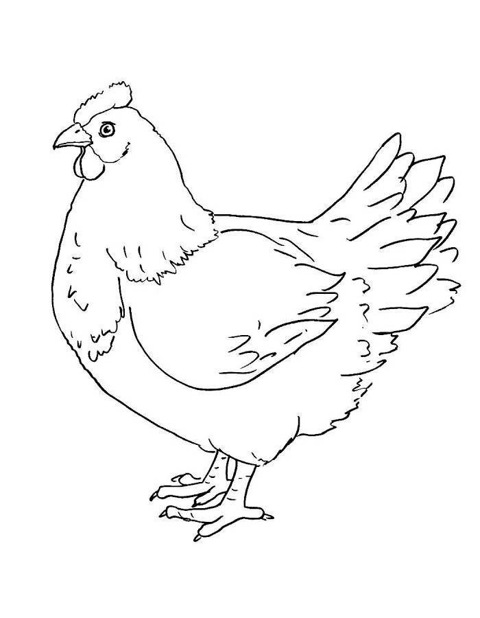 tô màu gà con dễ thương cho bé