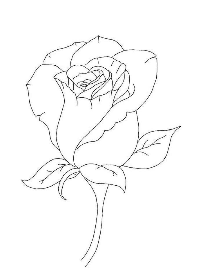 tô màu hoa hồng giải trí vui