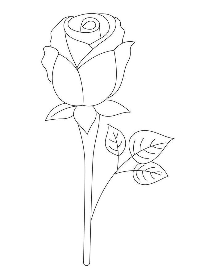 tô màu hoa hồng luyện tập tay