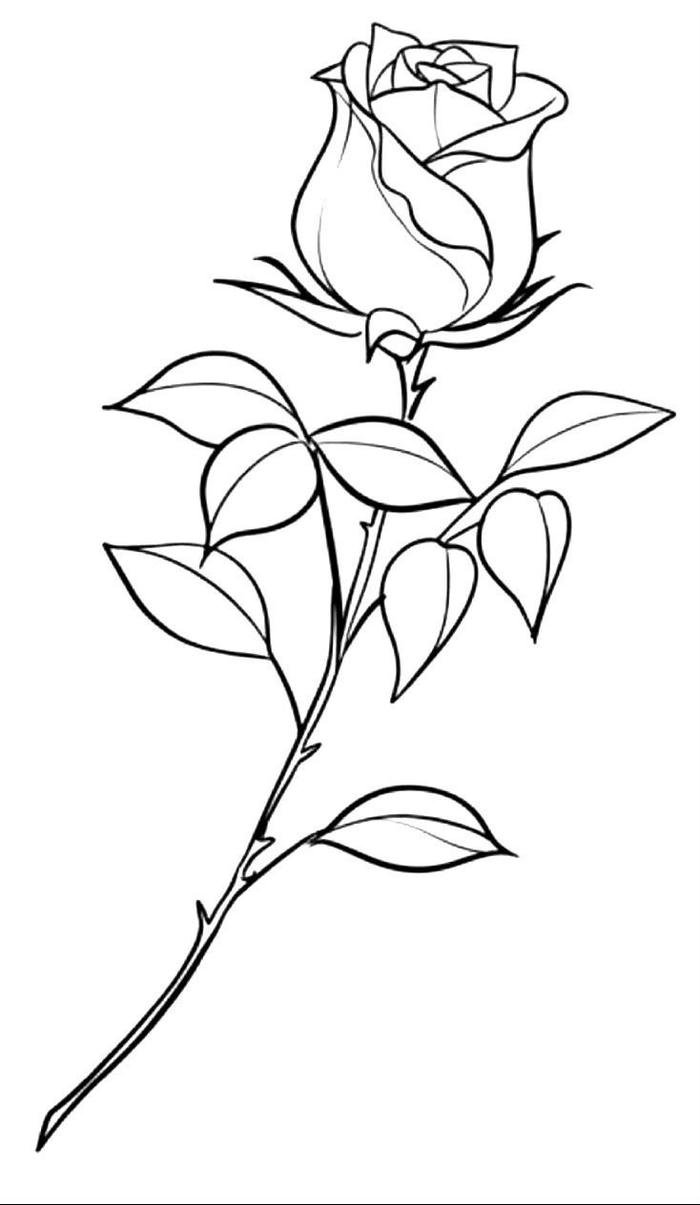 tô màu hoa hồng thư giãn nhẹ