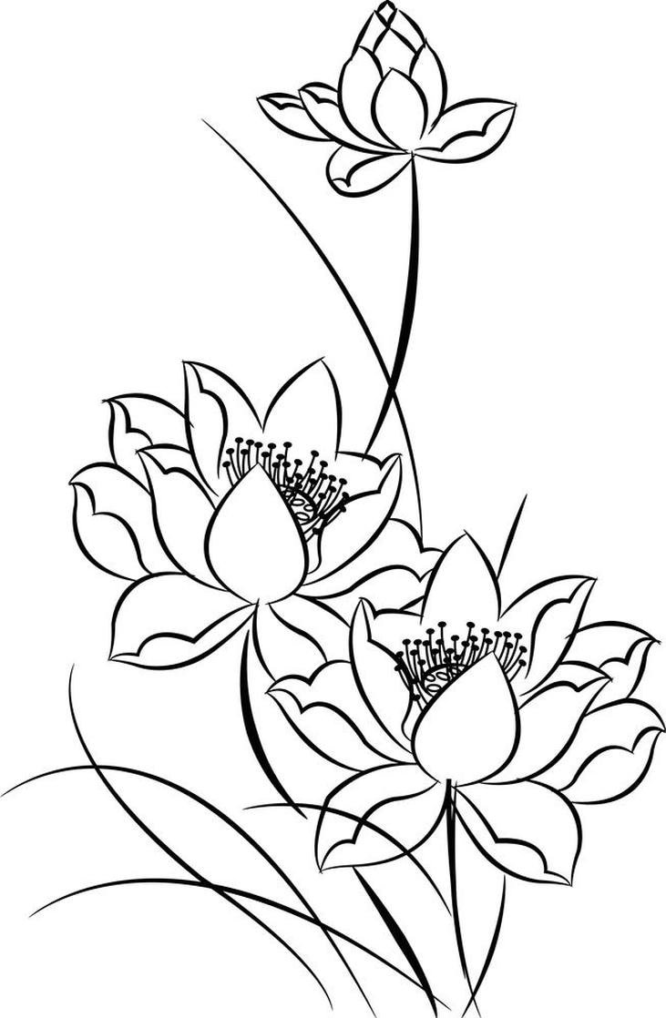 tô màu hoa sen cực đẹp nét nhẹ