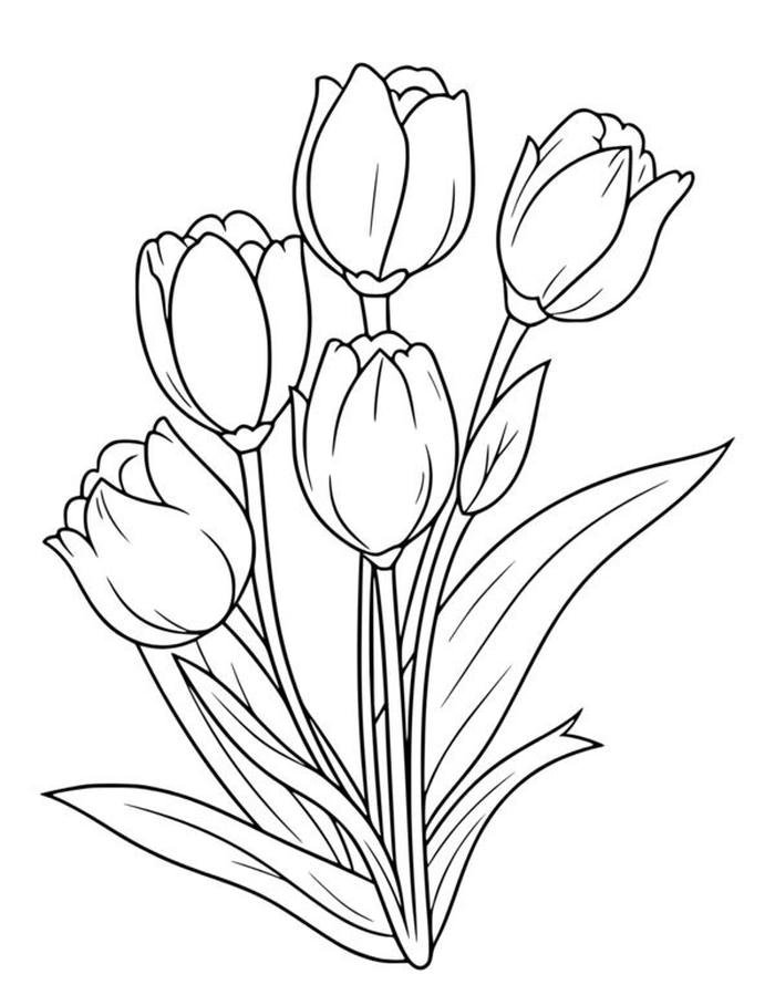 tô màu hoa tulip đẹp nhất