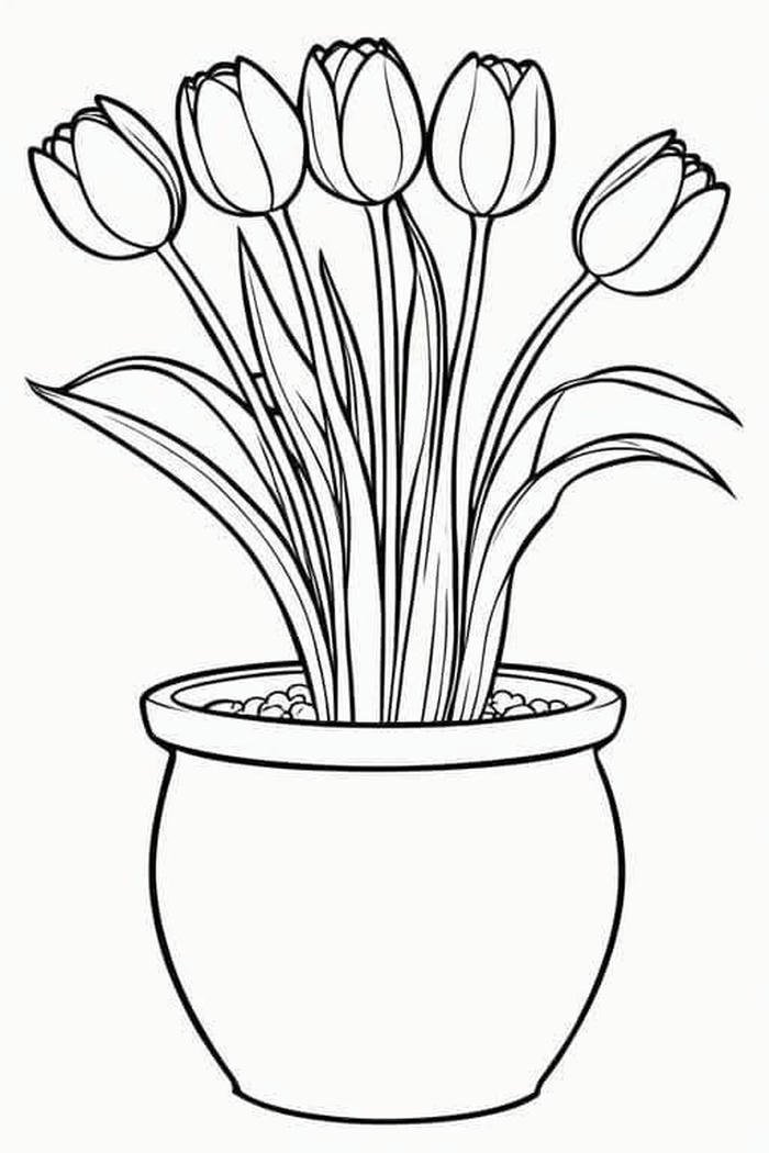 tô màu hoa tulip nhẹ nhàng