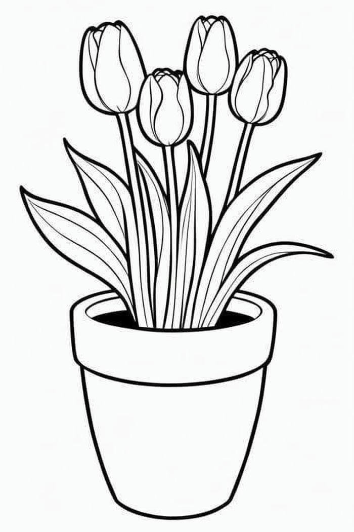 tô màu tulip đơn giản cho bé