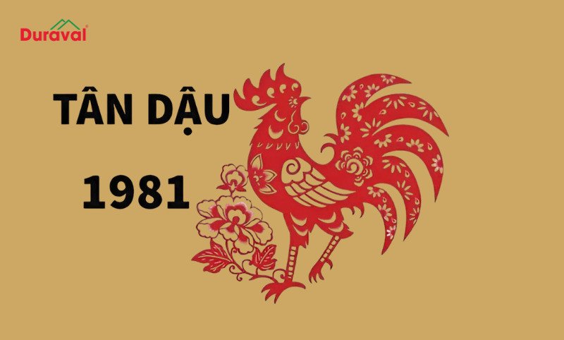 Tổng quan chi tiết về mệnh và vận khí của người tuổi Tân Dậu 1981 khi xem xét xây nhà năm 2026