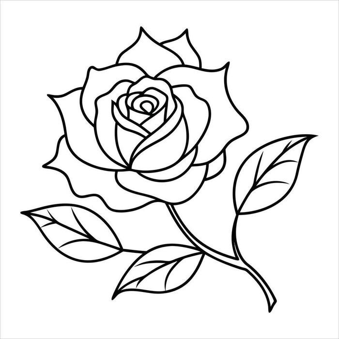 tranh hoa hồng tô màu cuốn