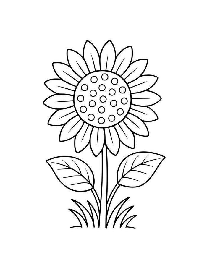 tranh hoa hướng dương để tô