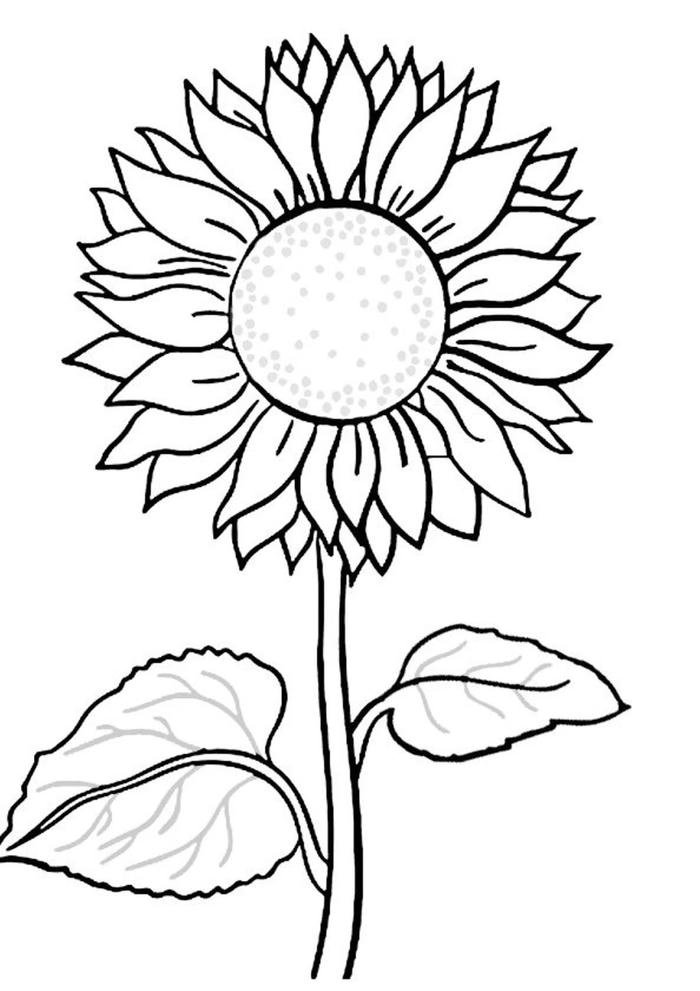 tranh hoa hướng dương đơn nét