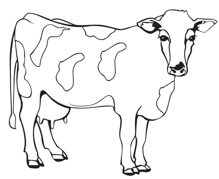 tranh tô màu con bò khổ A4
