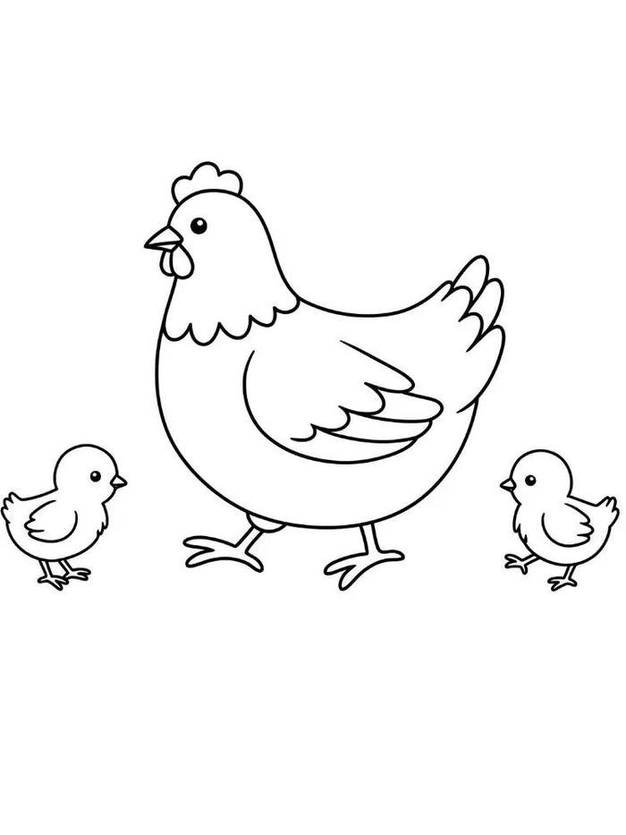 tranh tô màu con gà khổ A4