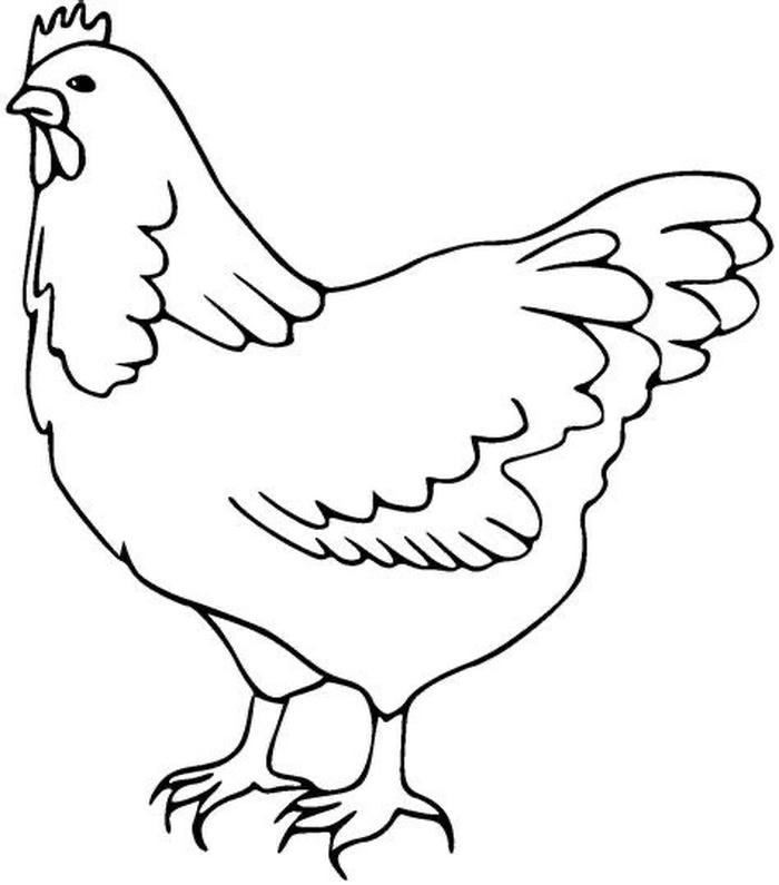 tranh tô màu đàn gà con sinh động