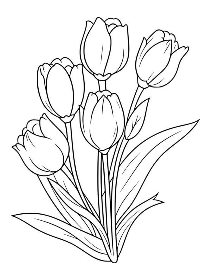 tranh tô màu tulip cực kỳ xinh