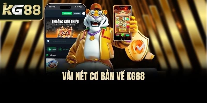 vai-net-ve-tai-app-kg88